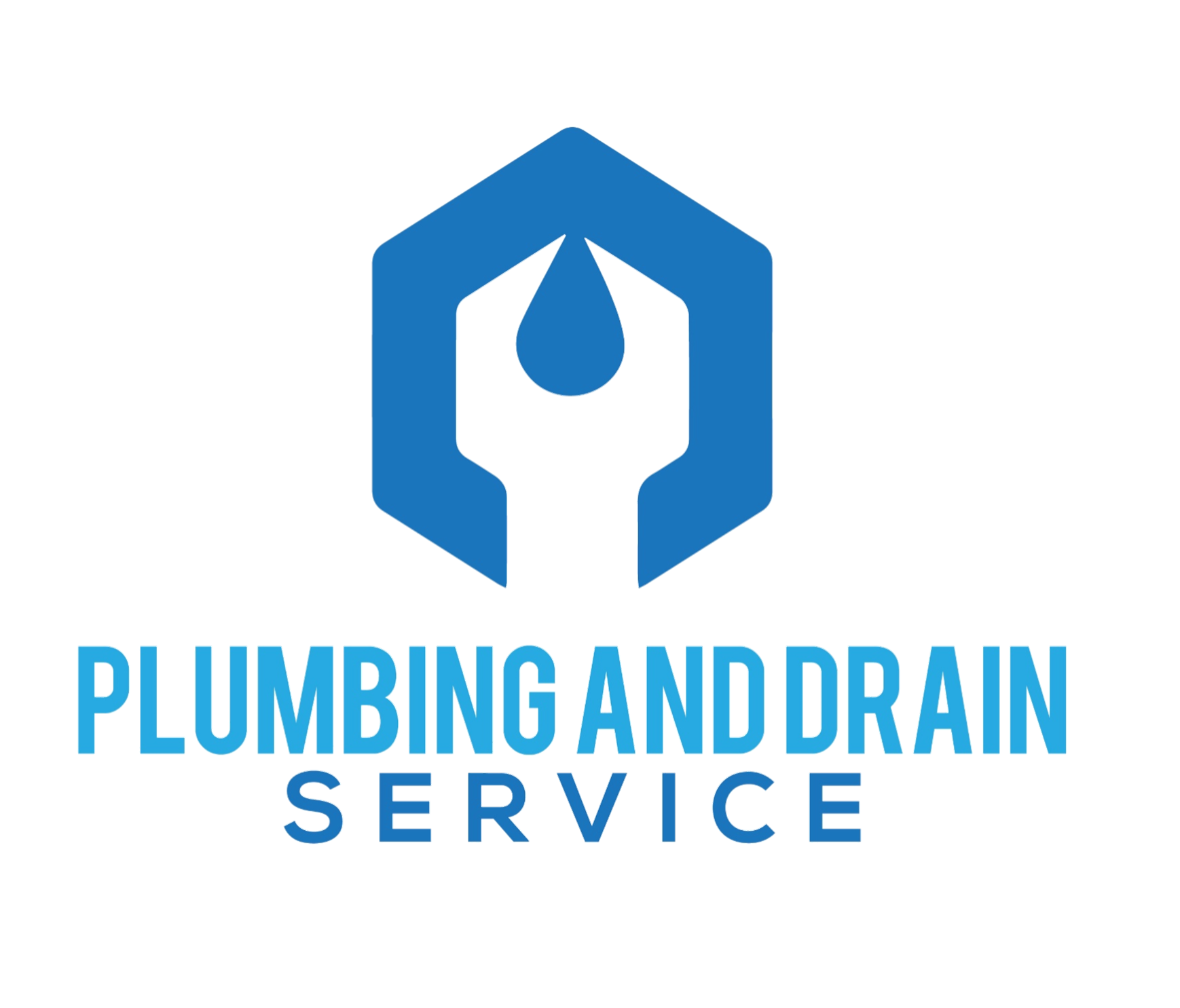 Plumbing and Drain Services